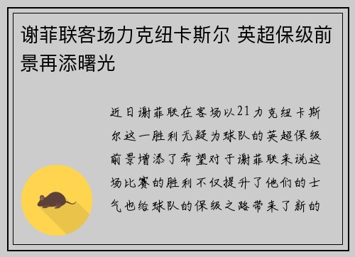 谢菲联客场力克纽卡斯尔 英超保级前景再添曙光